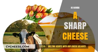 Is Gouda a Sharp Cheese? Exploring Its Unique Flavor Profile