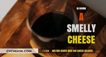 Is Gouda a Smelly Cheese? Debunking the Myths and Facts