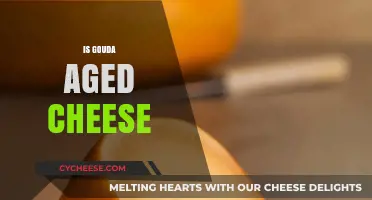 Exploring Gouda: The Aging Process and Flavor Development