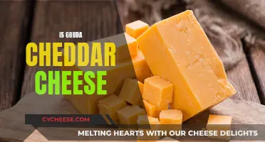 Gouda vs. Cheddar: Unraveling the Cheesy Mystery