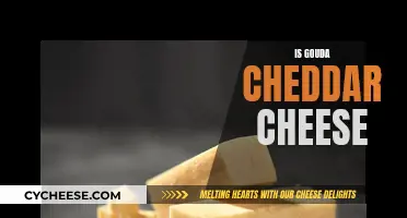 Gouda and Cheddar: What Sets Them Apart?
