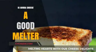 Does Gouda Cheese Melt Well? A Comprehensive Melting Guide