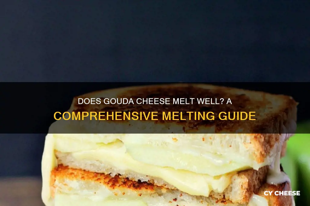 is gouda cheese a good melter