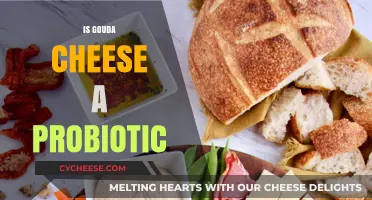 Gouda Cheese and Gut Health: Unlocking Probiotic Potential
