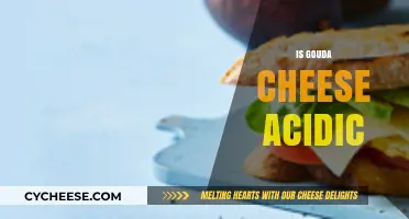 Is Gouda Cheese Acidic? Unveiling Its pH Level and Taste Profile