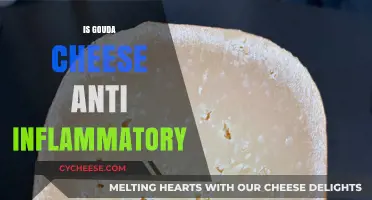 Gouda Cheese and Inflammation: Uncovering Its Anti-Inflammatory Potential
