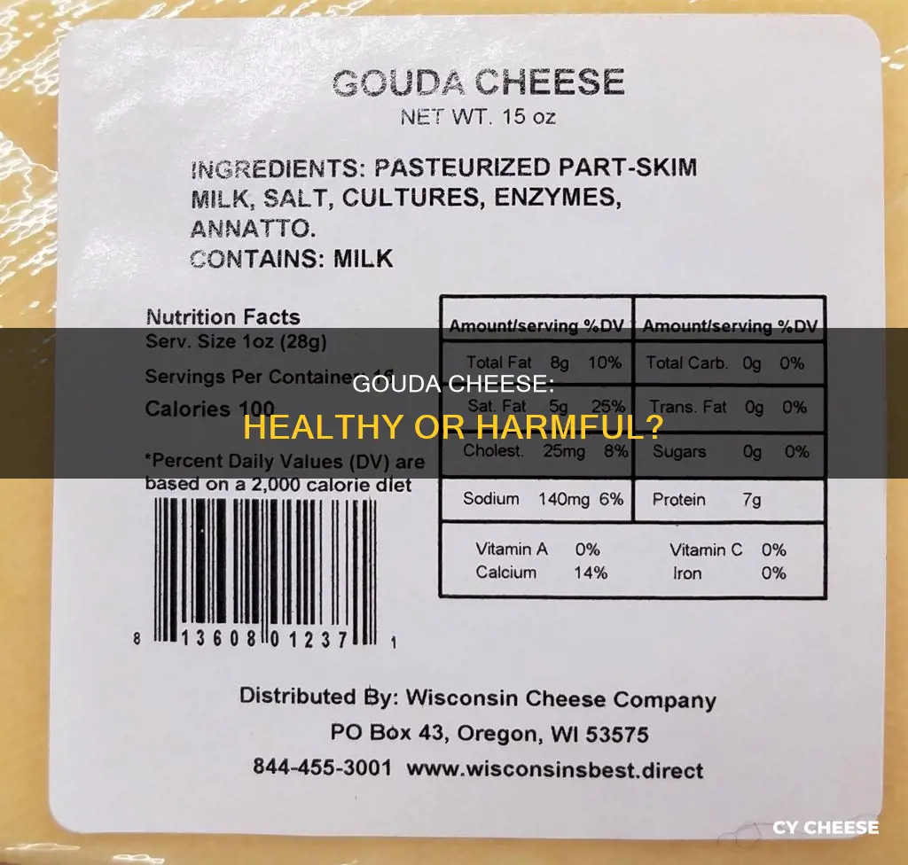 is gouda cheese bad for health
