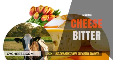 Is Gouda Cheese Bitter? Exploring Its Unique Flavor Profile