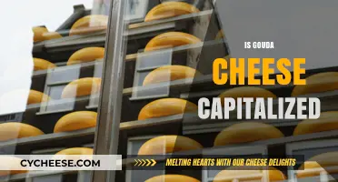 Is Gouda Cheese Capitalized? Unraveling the Dairy Naming Dilemma