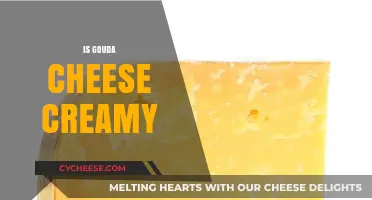 Is Gouda Cheese Creamy? Exploring Its Texture and Flavor Profile