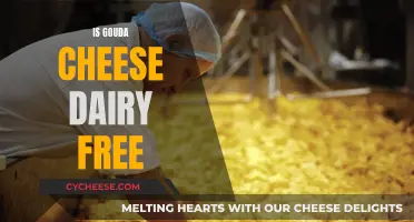 Gouda Cheese: Dairy-Free or Not?