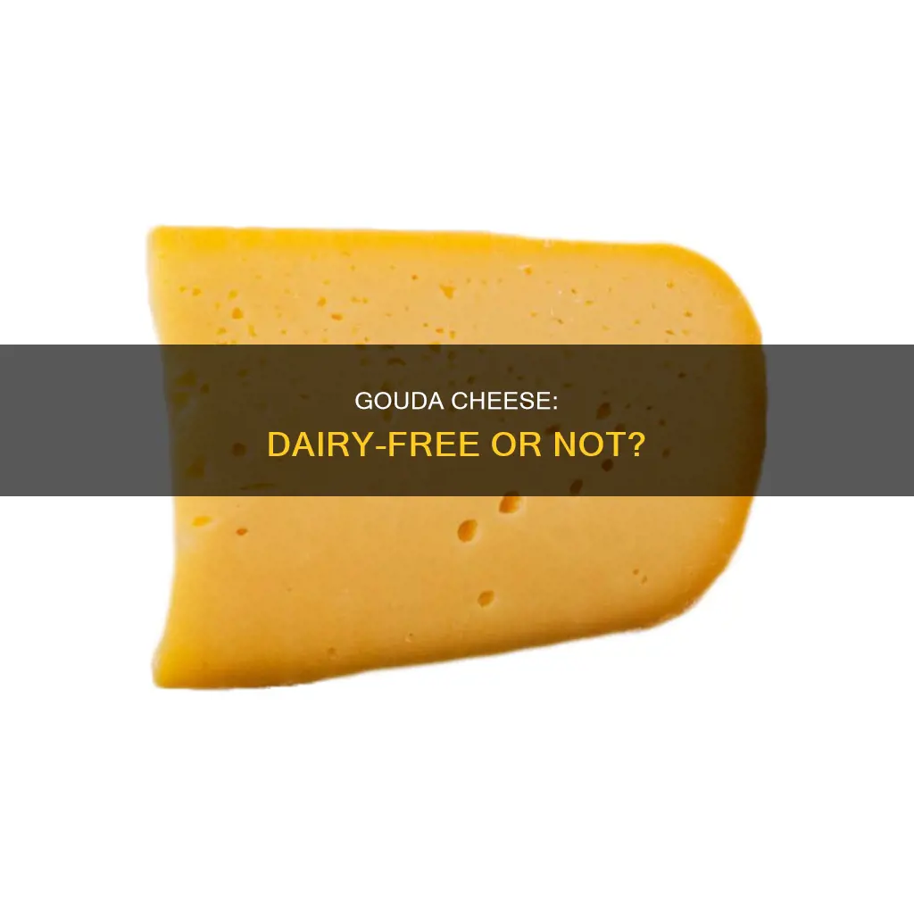 is gouda cheese dairy free