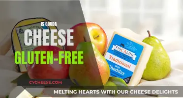Gluten-Free Gouda: What You Need to Know