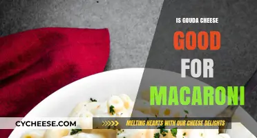 Gouda Cheese in Macaroni: A Creamy, Flavorful Twist Worth Trying?