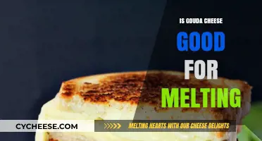 Is Gouda Cheese Good for Melting? A Cheesy Guide