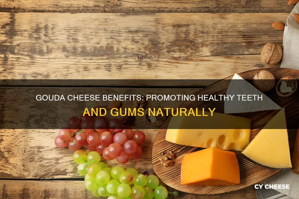 is gouda cheese good for teeth and gums