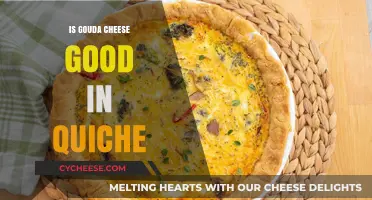 Gouda Cheese in Quiche: A Delicious Twist or Miss?