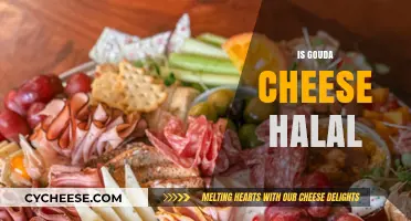 Is Gouda Cheese Halal? Exploring Its Ingredients and Certification