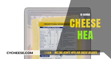 Is Gouda Cheese Healthy? Nutrition Benefits and Potential Drawbacks
