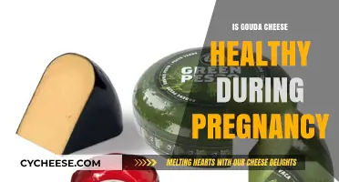 Gouda for Pregnancy: Healthy or Not?