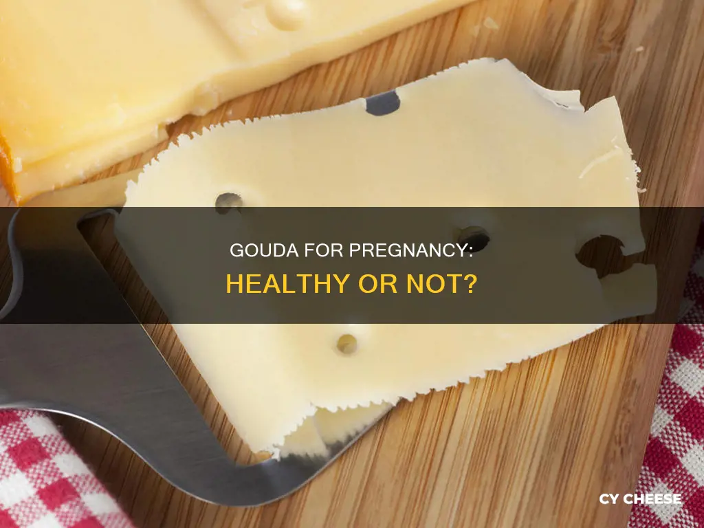 is gouda cheese healthy during pregnancy