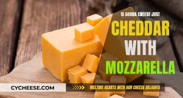 Unraveling Gouda's Secrets: Cheddar Meets Mozzarella?