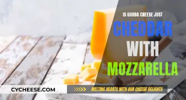 Gouda: Cheddar and Mozzarella's Love Child?