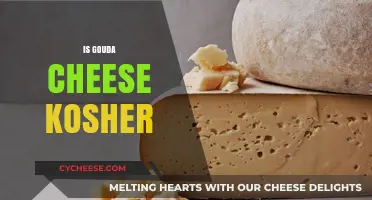 Is Gouda Cheese Kosher? Exploring Dairy Laws and Certification