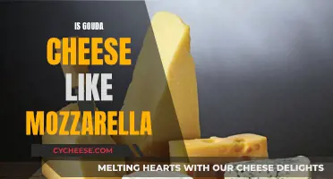 Gouda vs Mozzarella: What's the Difference?