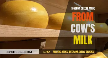 Gouda Cheese: Made From Cow's Milk?