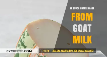 Gouda's Goat's Milk: Unveiling the Cheese's Origin Story