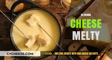 Does Gouda Cheese Melt Well? A Cheesy Texture Guide