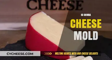 Is Gouda Cheese Moldy? Understanding Its Unique Rind and Safety