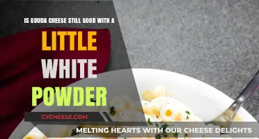 Is Gouda with White Powder Still Safe to Eat?