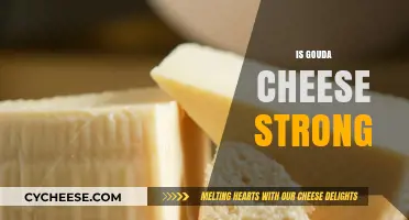 Is Gouda Cheese Strong? Exploring Its Flavor Intensity and Profile
