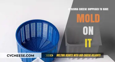 Is Mold on Gouda Cheese Normal? Understanding Its Presence and Safety