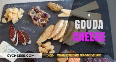 Is Gouda Cheese the Perfect Choice for Your Next Cheese Board?