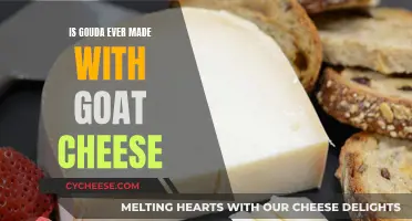 Goat Gouda: A Cheesy Conundrum