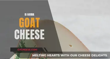 Goat Gouda: A Cheesy Conundrum Explained