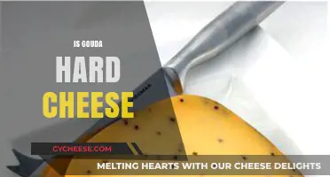 Is Gouda Hard Cheese? Understanding Its Texture and Classification