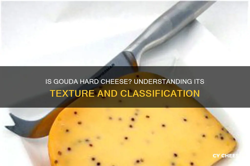 is gouda hard cheese