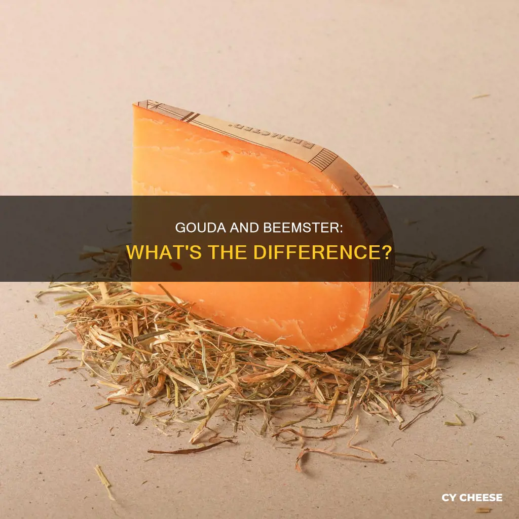 is gouda like beemster cheese