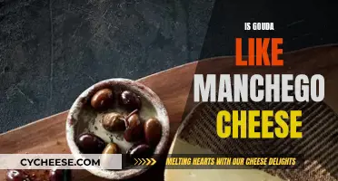 Gouda and Manchego: Similar Cheeses, Different Origins