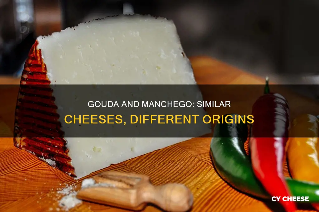 is gouda like manchego cheese