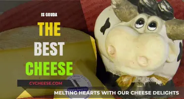 Gouda: The King of Cheeses?