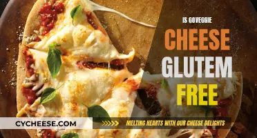 GoVeggie Cheese: Gluten-Free Option for You?