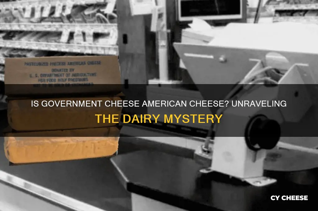 is government cheese american cheese