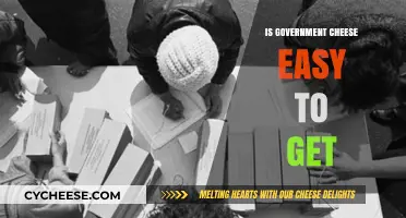 How Accessible is Government Cheese?