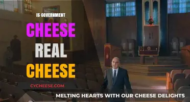 Is Government Cheese Real? Uncovering the Truth Behind the Block