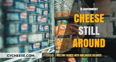 Is Government Cheese Still Distributed Today? Uncovering the Truth